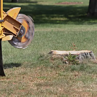 Stump Services