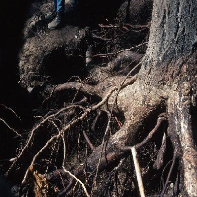 New-Project-11.jpg New-Project-11.jpg