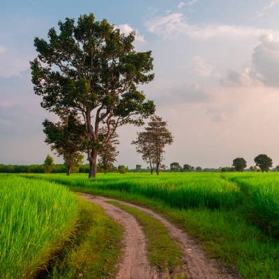 New-Project-17.jpg New-Project-17.jpg