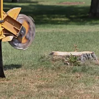 Top Point Tree Stump Services